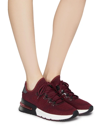 Shop Ash 'krush Bis' Knit Sneakers In Bordeaux / Light Bordeaux / Black