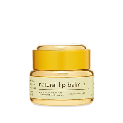 Shop Haeckels Natural Lip Balm In N/a
