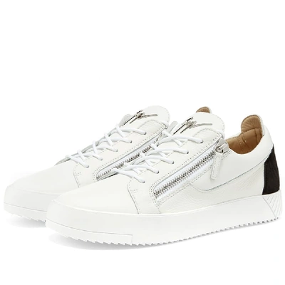 Shop Giuseppe Zanotti 2 Tone Zip Low Sneaker In White