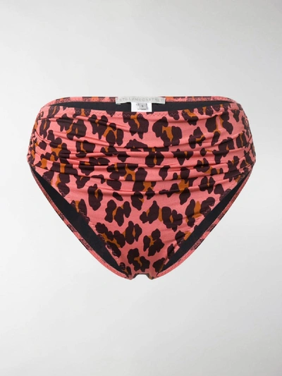 Shop Stella Mccartney Leopard-print Bikini Bottom In Pink