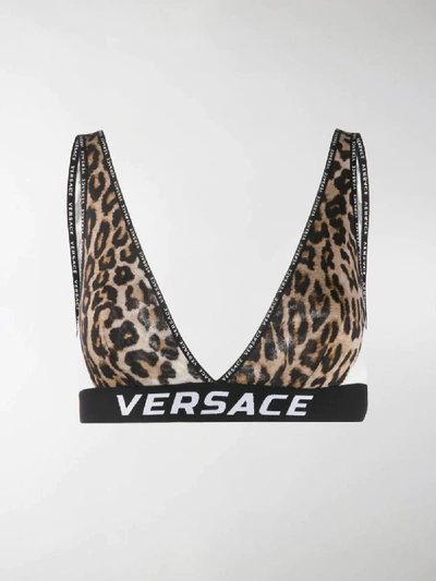 Shop Versace Logo Tape Leopard Bralette In Brown