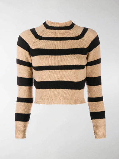 Shop Miu Miu Striped Cropped Sweater In Neutrals