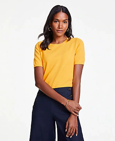 Shop Ann Taylor The Sweater Tee In Yellow