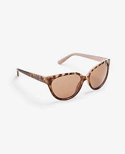 Shop Ann Taylor Cateye Sunglasses In Wheat