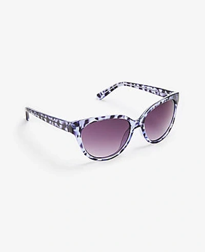 Shop Ann Taylor Cateye Sunglasses In Purple