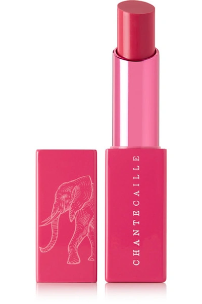Shop Chantecaille Lip Veil - Pink Lotus
