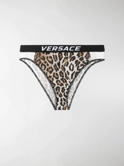 Shop Versace Leopard High-leg Briefs In Brown