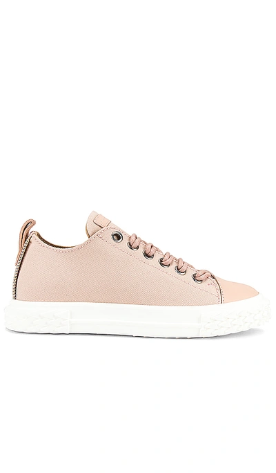 Shop Giuseppe Zanotti Low Top Sneaker In Kana Skin