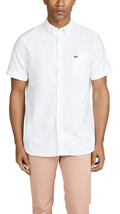 Shop Lacoste Short Sleeve Button Down Oxford Shirt In White