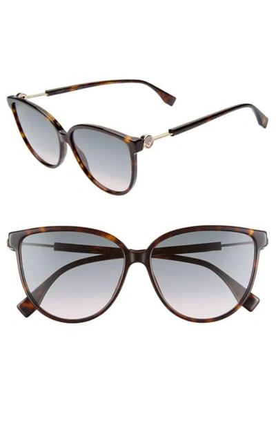 Shop Fendi 59mm Cat Eye Sunglasses - Dark Havana