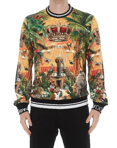 Shop Dolce & Gabbana Tropico Dg King Sweatshirt In Multicolor