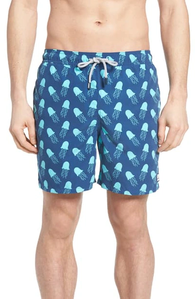 Shop Tom & Teddy Jellyfish Print Swim Trunks In Navy Turquoise