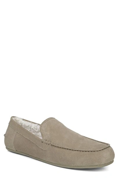 Shop Vince Gino Genuine Shearling Slipper In Natural