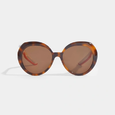 Shop Balenciaga Hybrid Butterfly Sunglasses