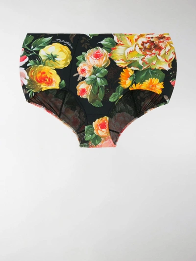 Shop Dolce & Gabbana Floral-print Bikini Bottoms In Black