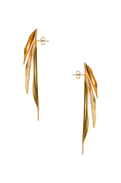 Shop Mercedes Salazar Leaf Earrings In Gold