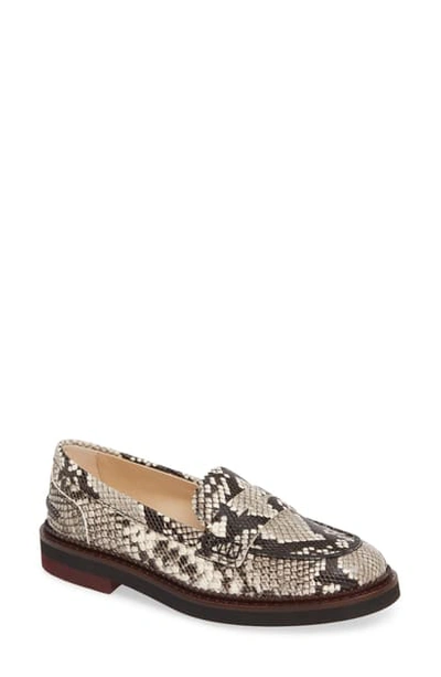 Shop Tod's New Light Penny Loafer In Roccia