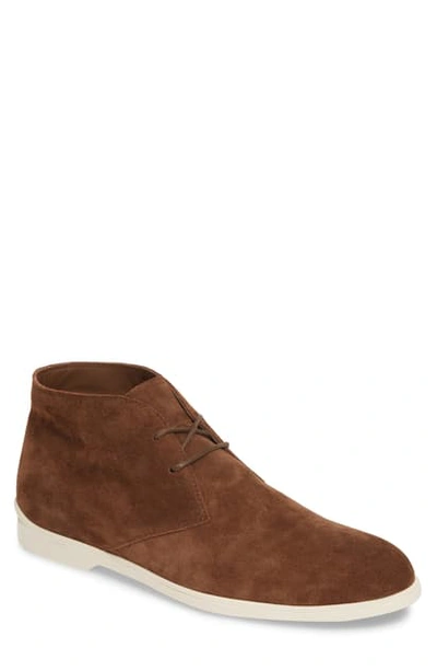 Shop Tod's Polacco Chukka Boot In Brown Suede