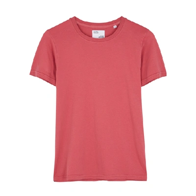 Shop Colorful Standard Pink Organic Cotton T-shirt In Dark Pink