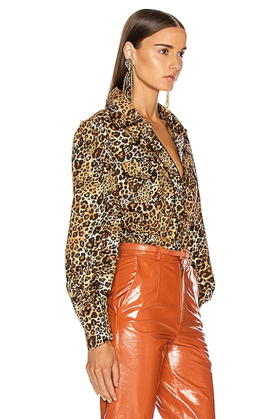 Shop Johanna Ortiz African Roots Top In Leopard Classic