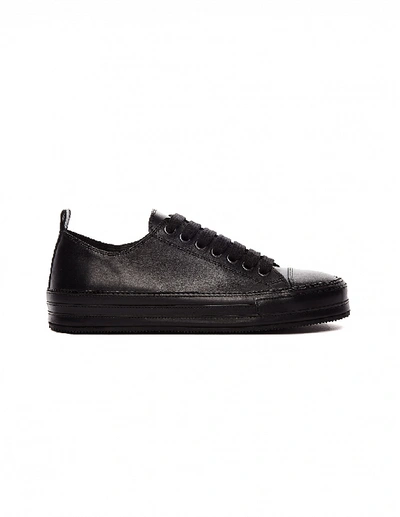 Shop Ann Demeulemeester Classic Low Top Leather Sneakers In Black