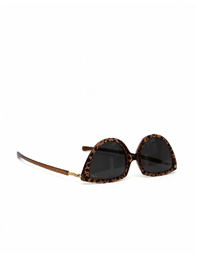 Shop Mykita Topaz Leopard  + Martine Rose «sos» Sunglasses In Brown