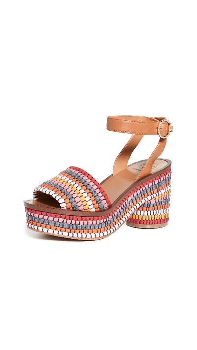 Tory burch paloma sale