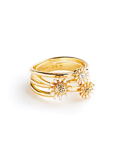 Shop Ann Taylor Daisy Ring In Gold