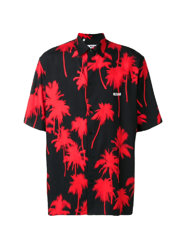 Msgm Palm Tree Shirt In Black | ModeSens