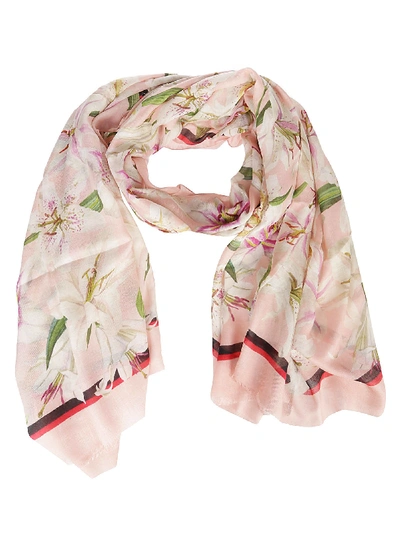 Shop Dolce & Gabbana Floral Scarf In Pink