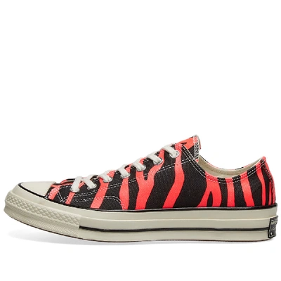 Shop Converse Chuck Taylor 1970s Ox 'zebra' In Pink