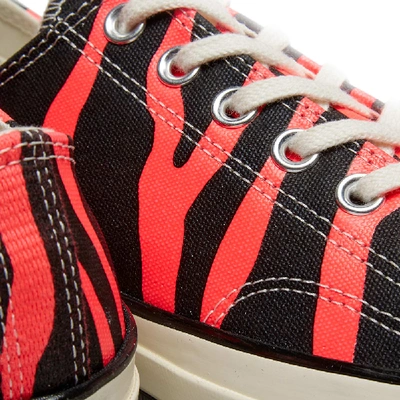 Shop Converse Chuck Taylor 1970s Ox 'zebra' In Pink