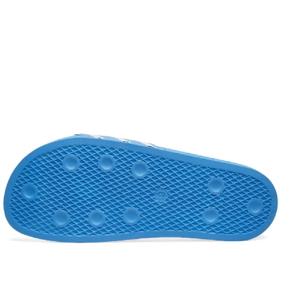 Shop Adidas Originals Adidas Adilette In Blue