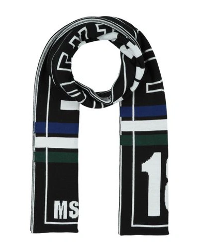 Shop Msgm Scarves In Black