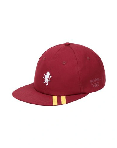 Shop Vans Hat In Maroon