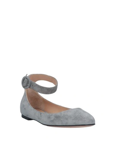 Shop Gianvito Rossi Ballet Flats In Grey