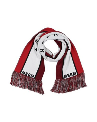 Shop Msgm Scarves In Maroon
