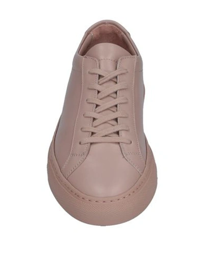 Shop Common Projects Sneakers In Pale Pink