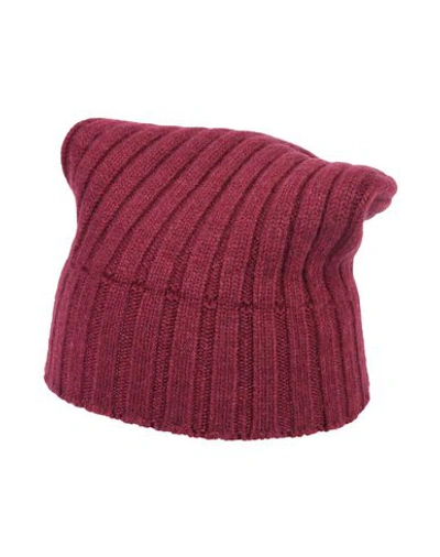 Shop Aragona Woman Hat Burgundy Size Onesize Cashmere In Red