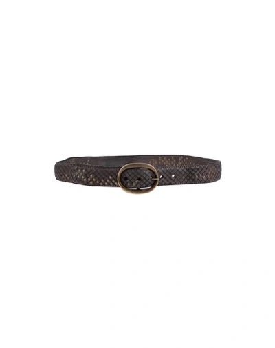 Shop Campomaggi Regular Belt In Light Brown