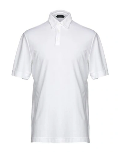 Shop Zanone Man Polo Shirt White Size 48 Cotton