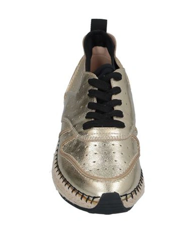 Tod's Sneakers In Gold