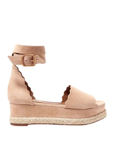Shop Chloé Sandals