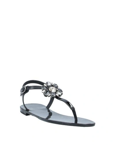 Shop Dolce & Gabbana Woman Thong Sandal Black Size 5.5 Rubber, Calfskin