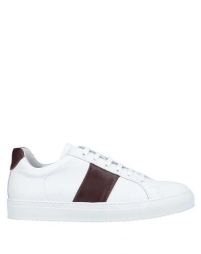 Shop National Standard Sneakers In White