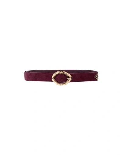 Shop Nanni Regular Belt In Garnet