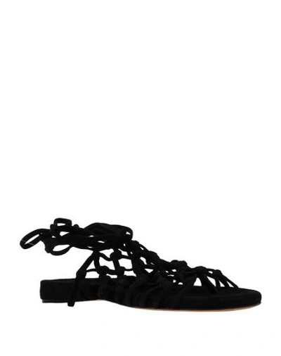 Shop Alumnae Sandals In Black