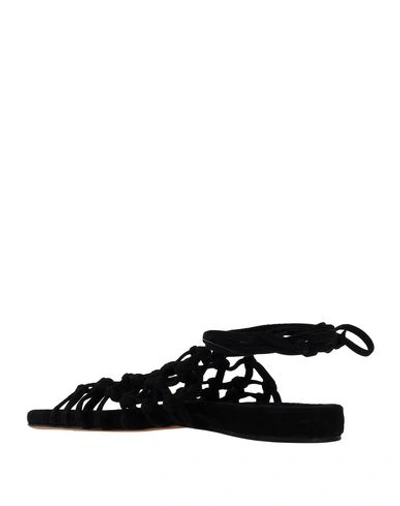 Shop Alumnae Sandals In Black