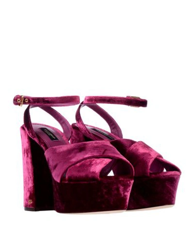Shop Dolce & Gabbana Sandals In Light Purple