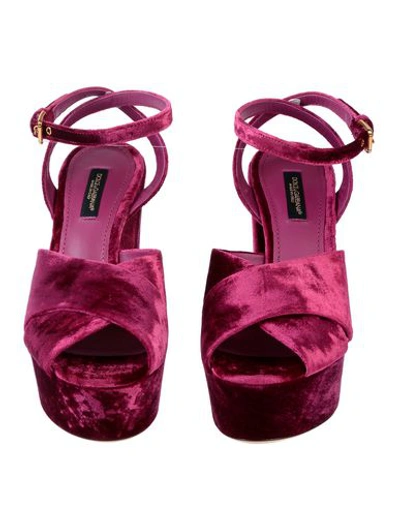 Shop Dolce & Gabbana Sandals In Light Purple